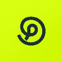icon-PINs Network Token