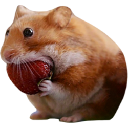 icon-nomnom
