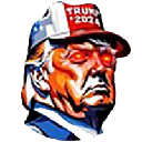 icon-Save America