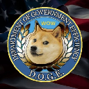 icon-Department Of Government Efficiency (dogegov.com)
