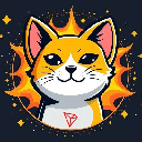 icon-SUNCAT