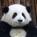icon-HUA HUA
