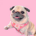 icon-LOULOU