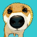 icon-Pochita (pochita.biz)