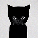 icon-Bro the cat