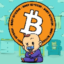 icon-Baby BitCoin
