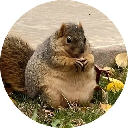 icon-NUTZ