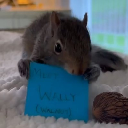 icon-Wally - Peanut's Brother