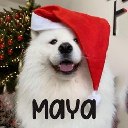 icon-Maya