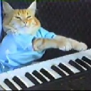 icon-Keyboard Cat(keycatsol.com)
