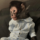 icon-Monkey Taken By Police