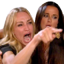 icon-Woman Yelling At Cat