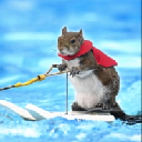 icon-Twiggy the water skiing squirrel