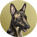 icon-Broccoli (firstbroccoli.com)