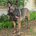 icon-Broccoli (Bounce Finance)