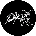 icon-ANTSCOIN