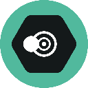 icon-SNPIT TOKEN