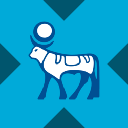 icon-Novo Nordisk tokenized stock (xStock)