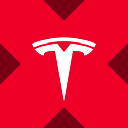 icon-Wrapped Tesla Tokenized stock (xStock)