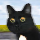 icon-Andrea Von Speed