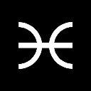 icon-Torus (torus.network)