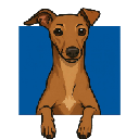 icon-Cosmo