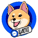 icon-Bachi on Base