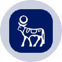 icon-Novo Nordisk Tokenized Stock (Ondo)