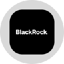 icon-Blackrock, Inc. Tokenized Stock (Ondo)