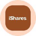 icon-iShares Gold Trust Tokenized ETF (Ondo)