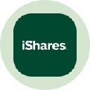 icon-iShares TIPS Bond Tokenized ETF (Ondo)