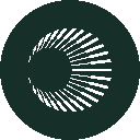 icon-Wrapped Plasma