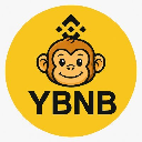 icon-Yellow BNB