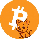 icon-Bitcoin Inu (tokeninu.xyz)
