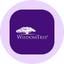 icon-WisdomTree US Quality Dividend Growth Tokenized Fund (Ondo)
