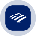 icon-Bank of America Tokenized Stock (Ondo)
