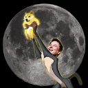 icon-DOGE TO MOON (dogemoons.fun)