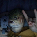 icon-The Big Trout