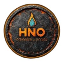 icon-HNO Coin