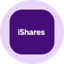 icon-iShares China Large-Cap Tokenized ETF (Ondo)