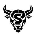 icon-SNC SCANDIC COIN