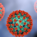 icon-HantaVirus