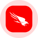 icon-CrowdStrike Holdings Inc (Derivatives)