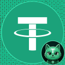 icon-TetheGate Tether USD (Bridge TC20)