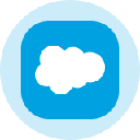 icon-Salesforce Inc (Derivatives)
