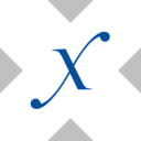 icon-Direxion Semiconductor Bull 3X tokenized ETF (xStock)