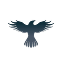 icon-Raven Protocol