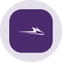 icon-Wolfspeed Tokenized Stock (Ondo)