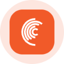 icon-Cerebras Systems Tokenized Stock (Ondo)