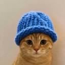 icon-catwifhat (catwifhat.us)